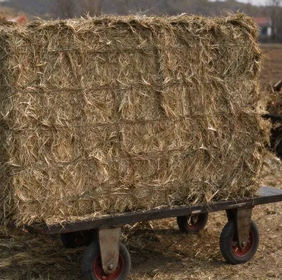 straw for the vertical baling machine